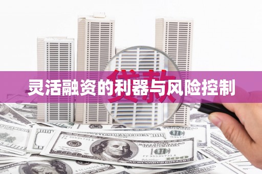 鹿城灵活融资的利器与风险控制