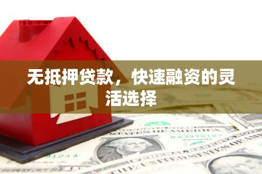 鹿城无抵押贷款，快速融资的灵活选择