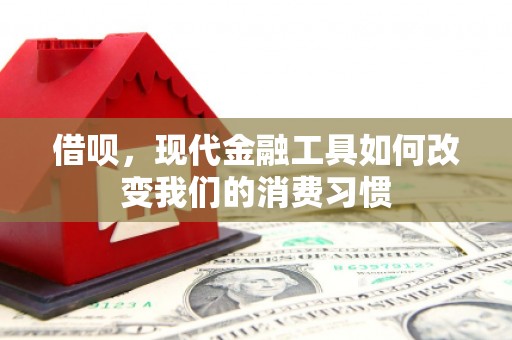 鹿城借呗，现代金融工具如何改变我们的消费习惯