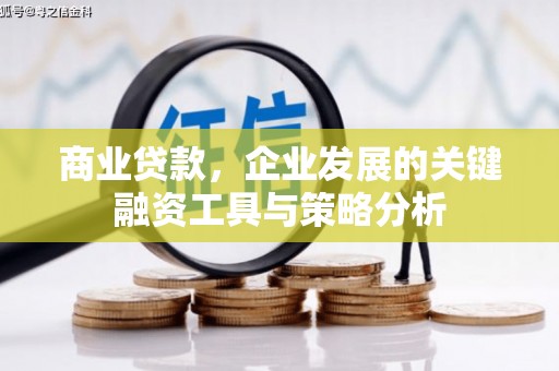 鹿城商业贷款，企业发展的关键融资工具与策略分析