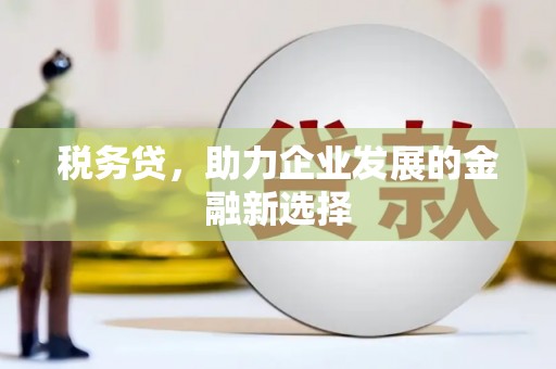 鹿城税务贷，助力企业发展的金融新选择