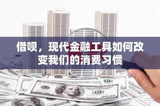 鹿城借呗，现代金融工具如何改变我们的消费习惯