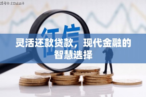 鹿城灵活还款贷款，现代金融的智慧选择
