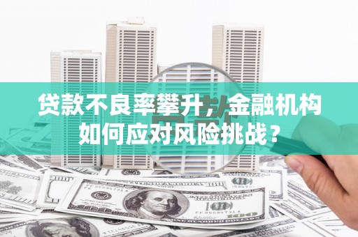 鹿城贷款不良率攀升，金融机构如何应对风险挑战？