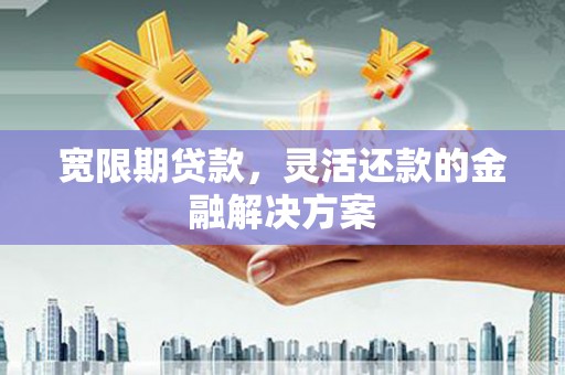 鹿城宽限期贷款，灵活还款的金融解决方案