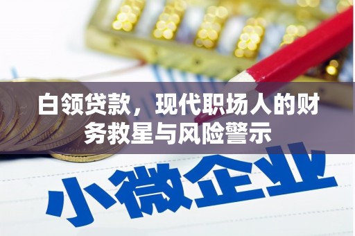 鹿城白领贷款，现代职场人的财务救星与风险警示