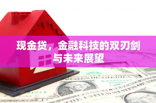 鹿城现金贷，金融科技的双刃剑与未来展望