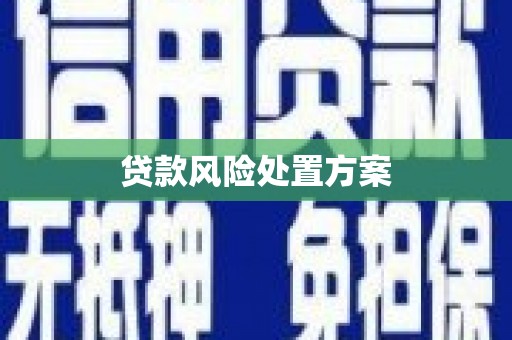 鹿城贷款风险处置方案