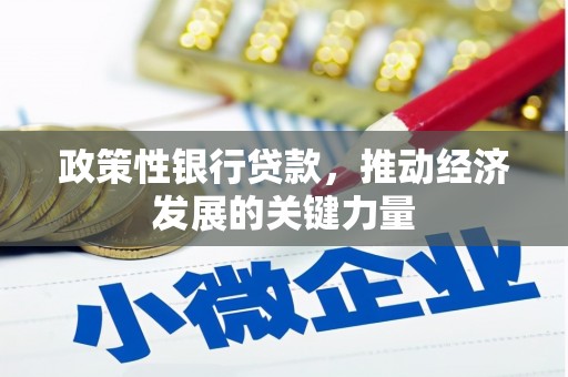 鹿城政策性银行贷款，推动经济发展的关键力量