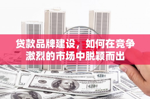 鹿城贷款品牌建设，如何在竞争激烈的市场中脱颖而出
