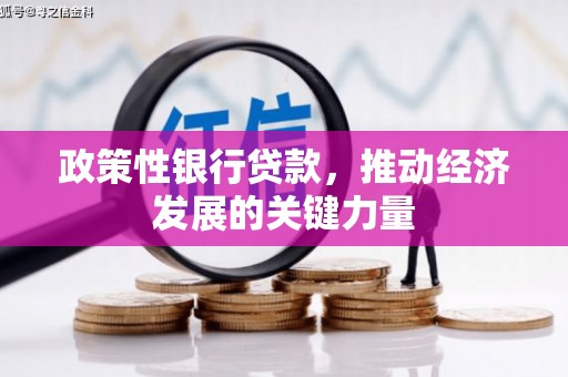 鹿城政策性银行贷款，推动经济发展的关键力量