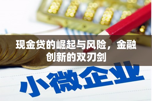 鹿城现金贷的崛起与风险，金融创新的双刃剑