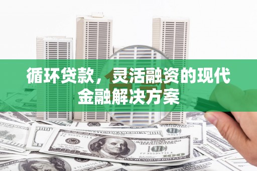 鹿城循环贷款，灵活融资的现代金融解决方案
