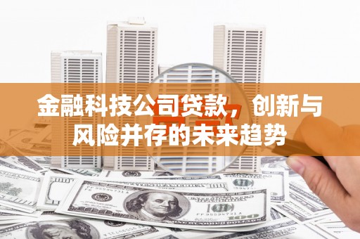 鹿城金融科技公司贷款，创新与风险并存的未来趋势