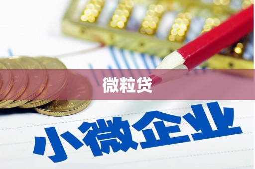 鹿城微粒贷
