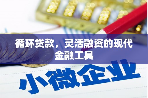 鹿城循环贷款，灵活融资的现代金融工具