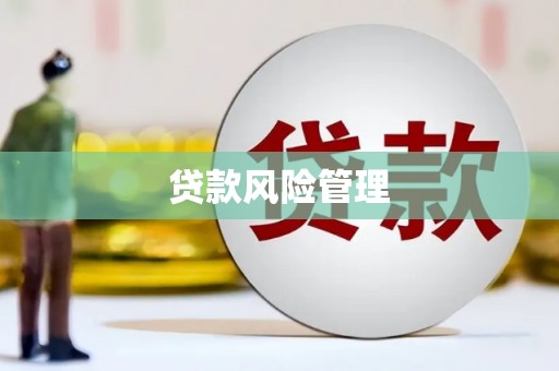 鹿城贷款风险管理