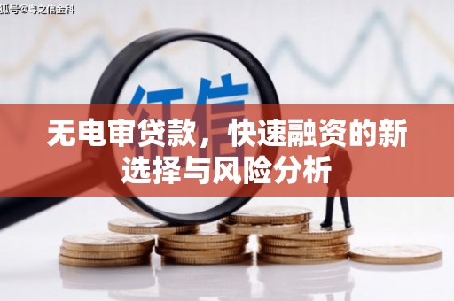 鹿城无电审贷款，快速融资的新选择与风险分析