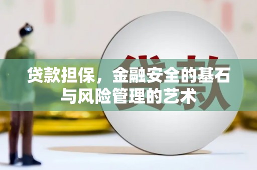 鹿城贷款担保，金融安全的基石与风险管理的艺术