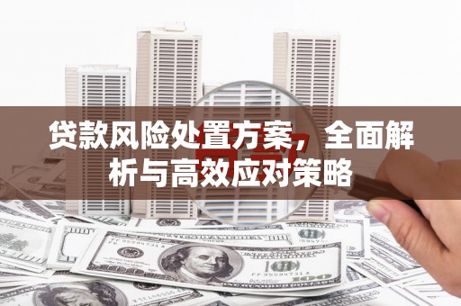 鹿城贷款风险处置方案，全面解析与高效应对策略