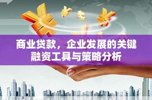鹿城商业贷款，企业发展的关键融资工具与策略分析