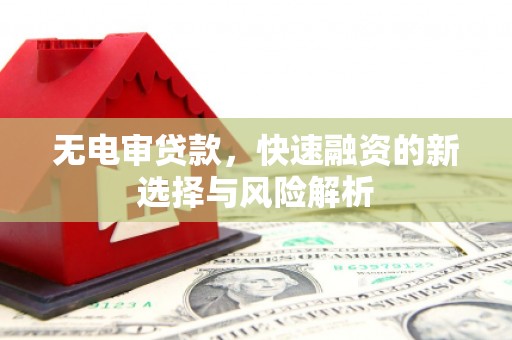 鹿城无电审贷款，快速融资的新选择与风险解析