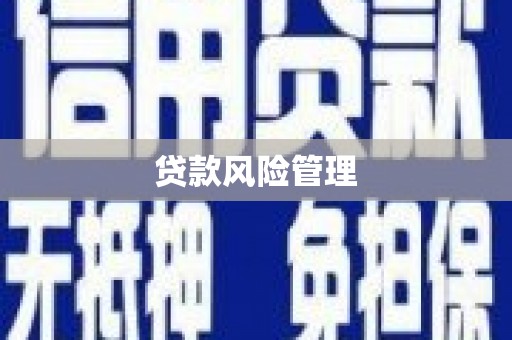鹿城贷款风险管理