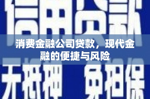 鹿城消费金融公司贷款，现代金融的便捷与风险