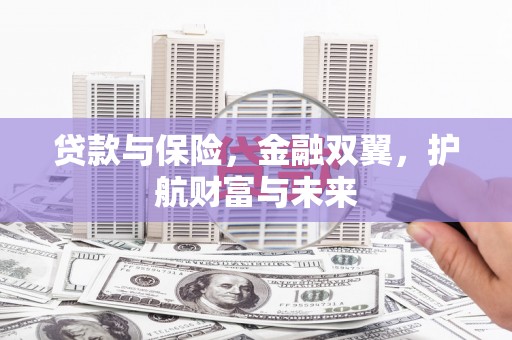 鹿城贷款与保险，金融双翼，护航财富与未来
