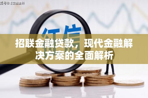 鹿城招联金融贷款，现代金融解决方案的全面解析