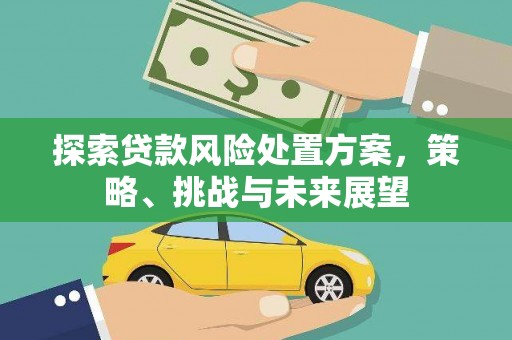鹿城探索贷款风险处置方案，策略、挑战与未来展望