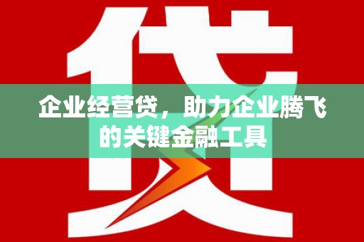 鹿城企业经营贷，助力企业腾飞的关键金融工具