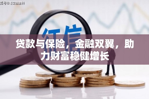 鹿城贷款与保险，金融双翼，助力财富稳健增长