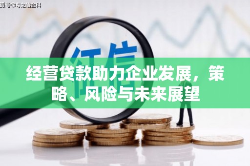 鹿城经营贷款助力企业发展，策略、风险与未来展望