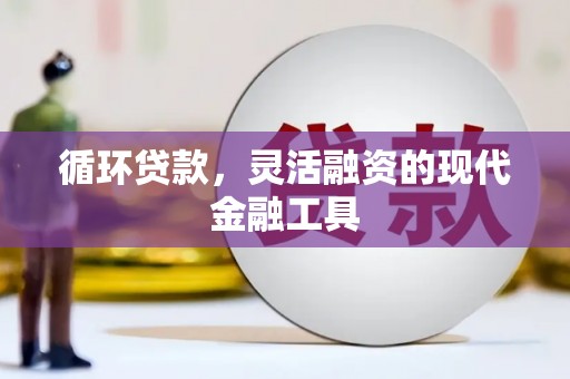 鹿城循环贷款，灵活融资的现代金融工具