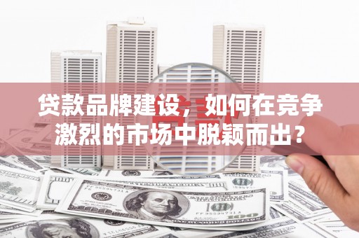 鹿城贷款品牌建设，如何在竞争激烈的市场中脱颖而出？