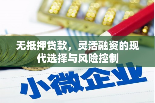 鹿城无抵押贷款，灵活融资的现代选择与风险控制