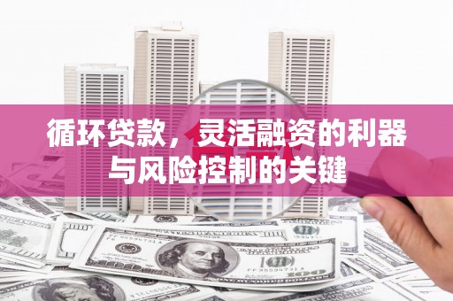 鹿城循环贷款，灵活融资的利器与风险控制的关键