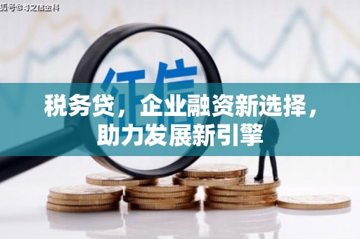 鹿城税务贷，企业融资新选择，助力发展新引擎