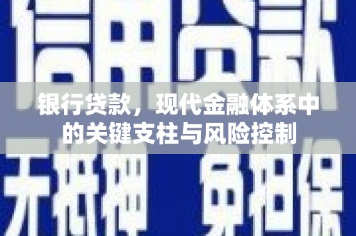 鹿城银行贷款，现代金融体系中的关键支柱与风险控制