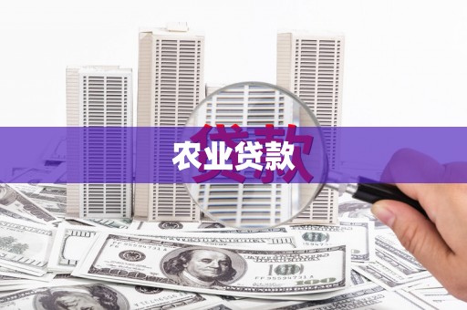 鹿城农业贷款