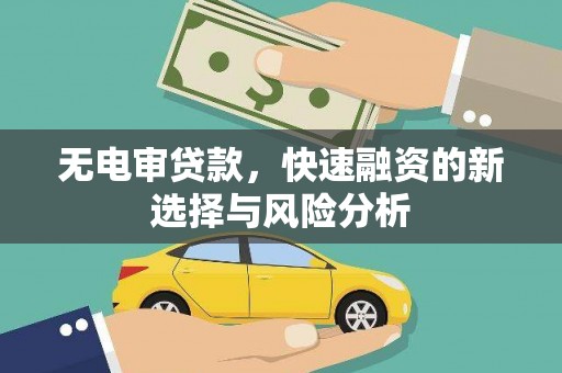 鹿城无电审贷款，快速融资的新选择与风险分析