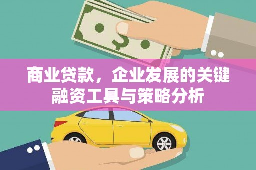 鹿城商业贷款，企业发展的关键融资工具与策略分析