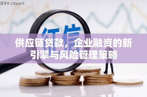 鹿城供应链贷款，企业融资的新引擎与风险管理策略