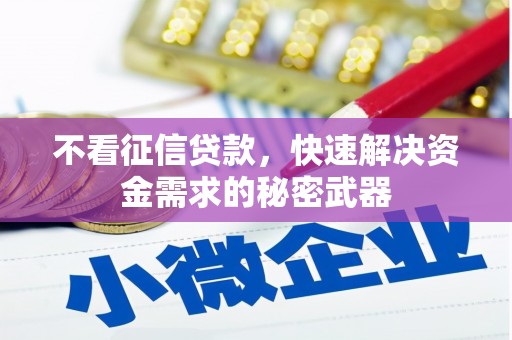 鹿城不看征信贷款，快速解决资金需求的秘密武器