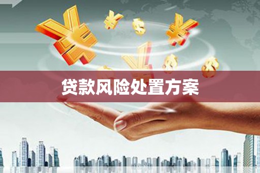 鹿城贷款风险处置方案