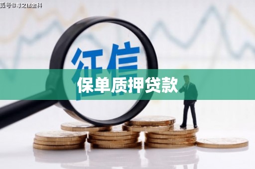 鹿城保单质押贷款