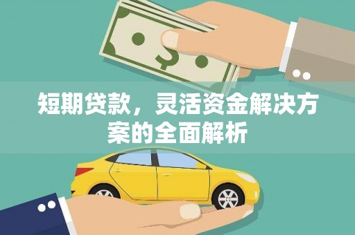 鹿城短期贷款，灵活资金解决方案的全面解析