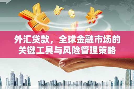 鹿城外汇贷款，全球金融市场的关键工具与风险管理策略