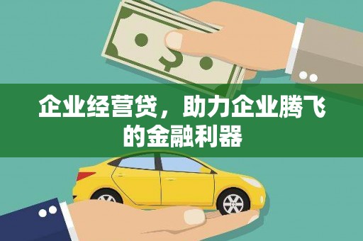 鹿城企业经营贷，助力企业腾飞的金融利器